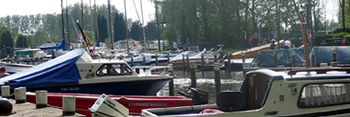 Haven kruitkreek op Camping De Krabbeplaat - Zuid Holland