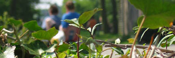 Cultuur en historie in omgeving van Camping De Krabbeplaat - Zuid Holland